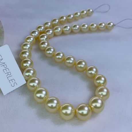 Collana perle d'Australia dorate - 9/11mm - AAA oro bianco