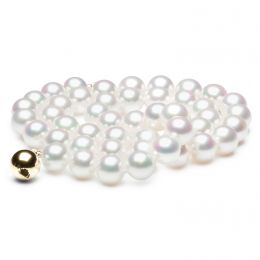 Collana Aguri - Grosse Perle Bianche Akoya - 8/8.5mm, AAA / 