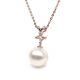 Ganse classique