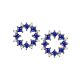 Bleuet