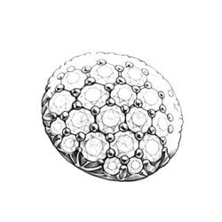 Ciondolo, Anello e Orecchini Seiza. Perle Akoya, Oro bianco, diamanti.