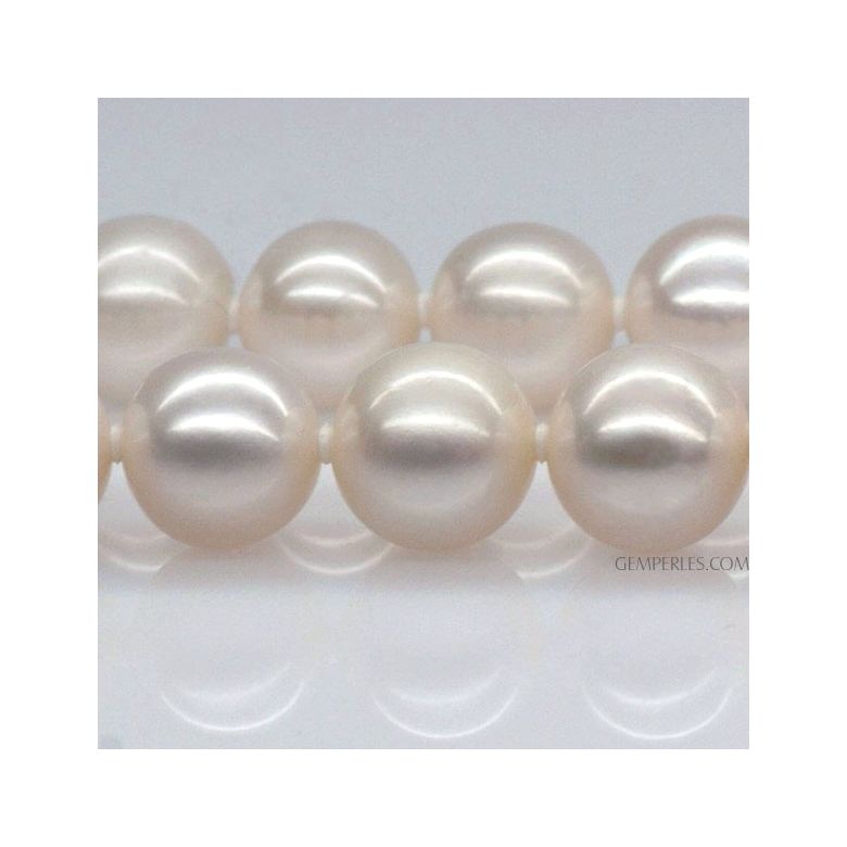 Collana Gloria - Grosse Perle d'Acqua Dolce Bianche - 10.5/11.5mm, AAA oro bianco - 3