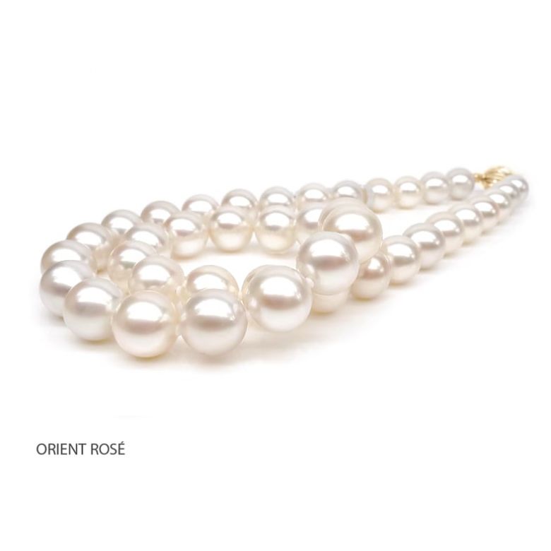 Collana Nautile  - Grosse Perle d'Acqua Dolce Bianche - 9.5/10.5mm, AAA oro giallo - 4