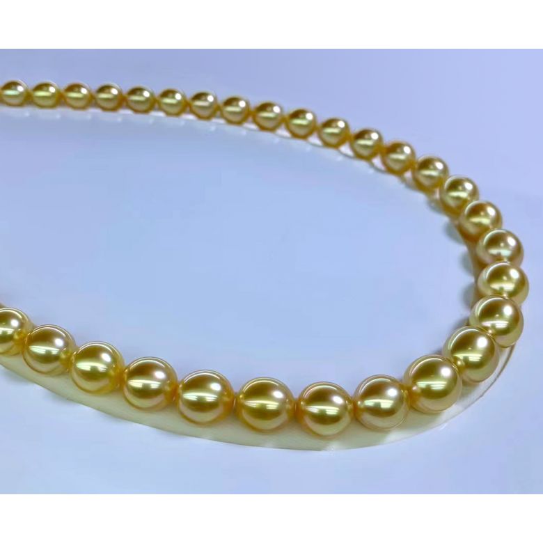 Collana Nefertiti - Perle Coltivate Dorate Gold dei Mari del Sud - 7
