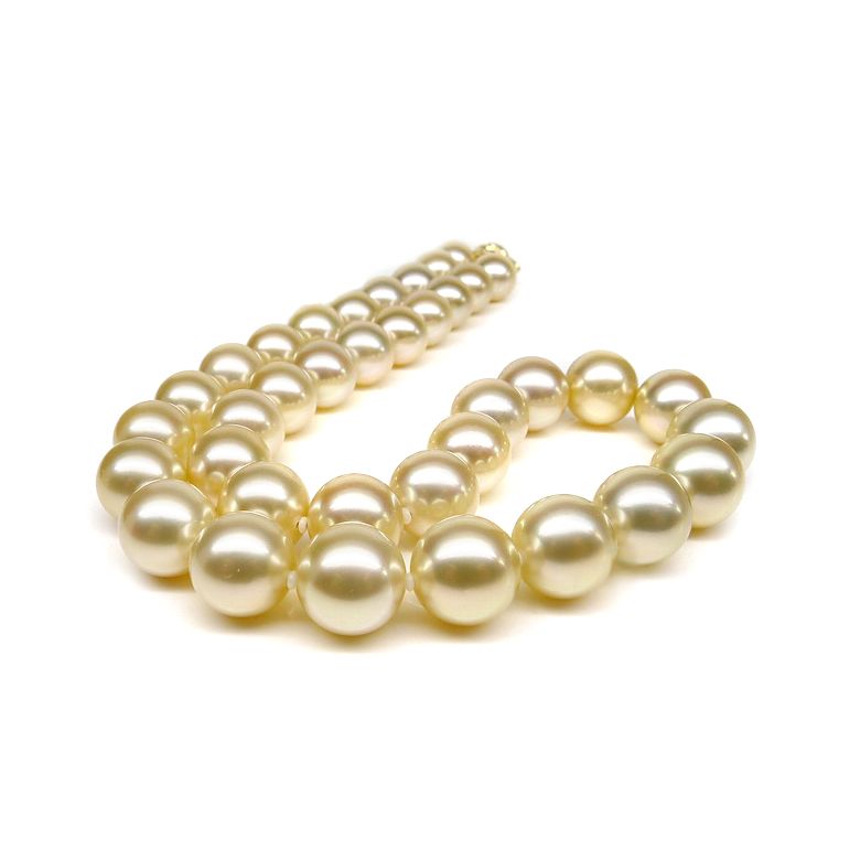 Collana Nefertiti - Perle Coltivate Dorate Gold dei Mari del Sud - 1