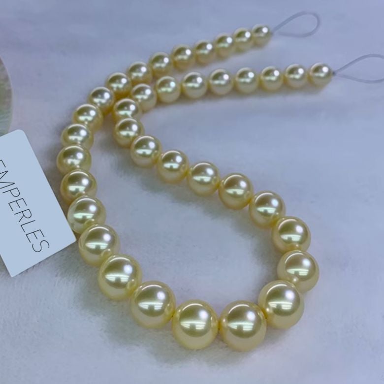 Collana perle d'Australia dorate - 9/11mm - AAA - 2