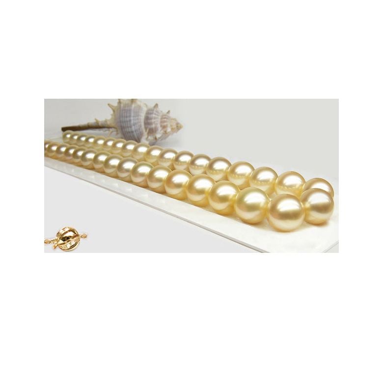 Collana perle d'Australia dorate - 9/11mm - AAA - 6