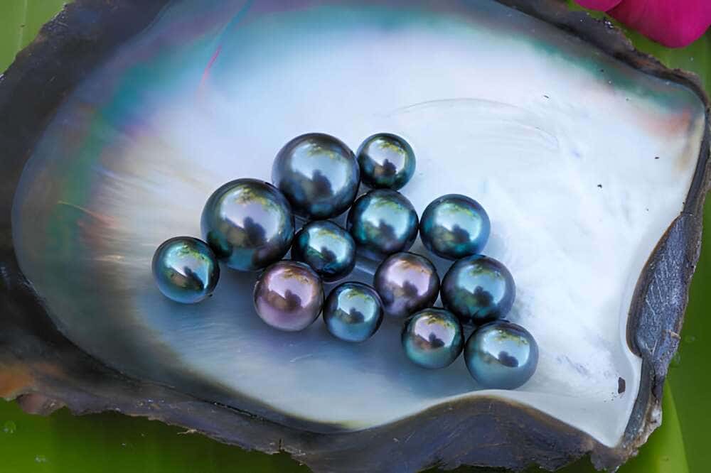 Come si forma il colore delle perle di Tahiti?