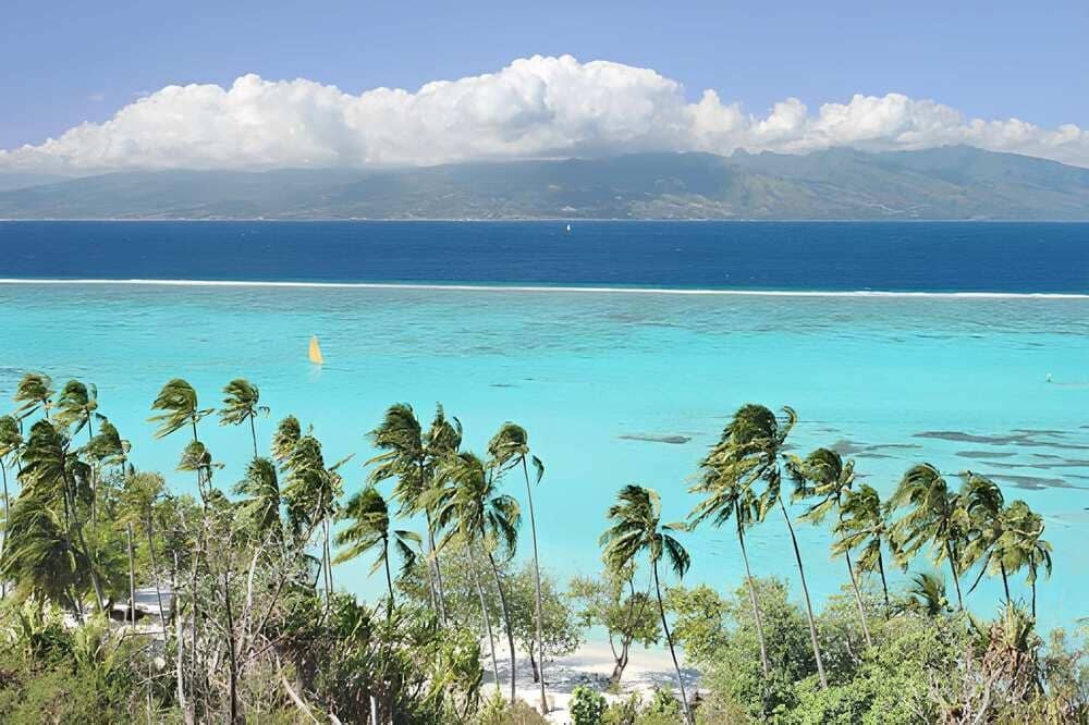 Laguna di Tahiti, allevamento perlifero