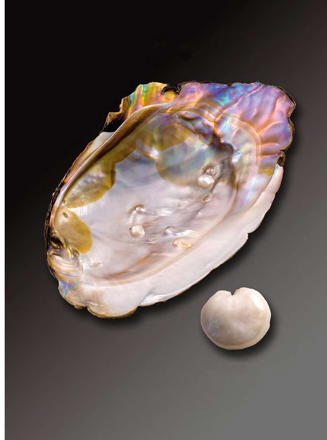 Perle naturali d'acqua dolce - Gemperles