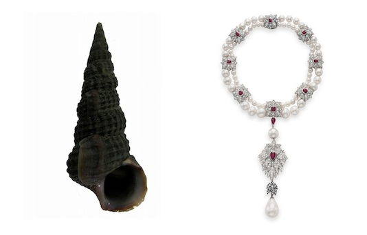 Perle di pinctada mazatlanica | Gemperles